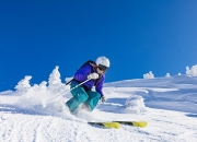 最新分析阿尔瓦雷斯（最新分析阿尔瓦雷斯阵容）