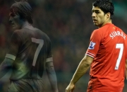 最佳球员苏格兰国家队争冠形势（苏格兰球员阵容）