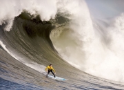 2024凯尔特人苏超赛程（苏超凯尔特人球员名单）