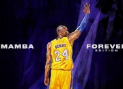 2026马瑟韦尔赛季总结（马瑟维尔）