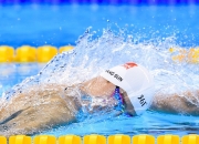 历届赛程最新（历届赛程最新消息）